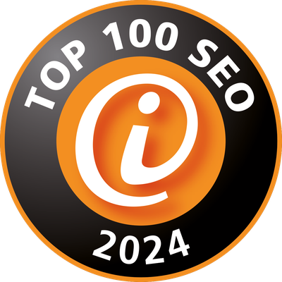 Top Seo 100 Logo